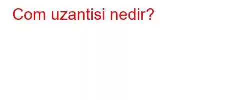 Com uzantisi nedir?