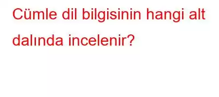 Cümle dil bilgisinin hangi alt dalında incelenir