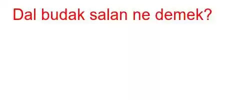 Dal budak salan ne demek?