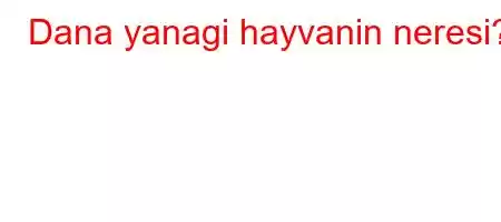 Dana yanagi hayvanin neresi?