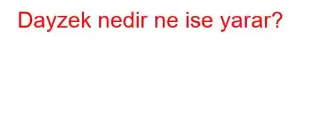 Dayzek nedir ne ise yarar?