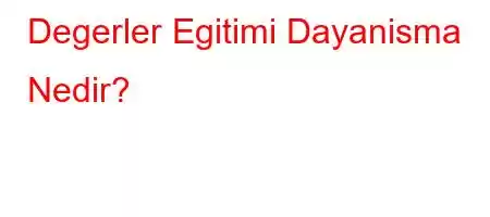 Degerler Egitimi Dayanisma Nedir