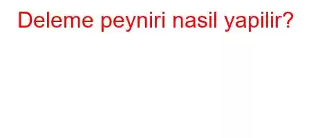 Deleme peyniri nasil yapilir?