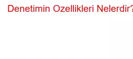 Denetimin Ozellikleri Nelerdir?