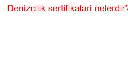 Denizcilik sertifikalari nelerdir?