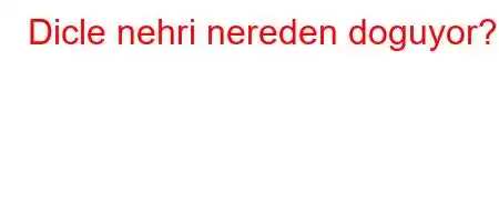 Dicle nehri nereden doguyor?