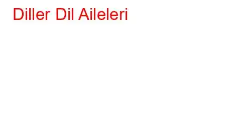 Diller Dil Aileleri