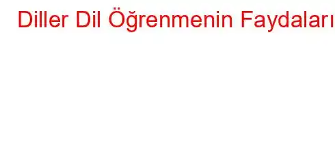 Diller Dil Öğrenmenin Faydaları