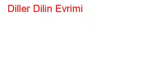 Diller Dilin Evrimi