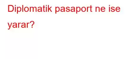 Diplomatik pasaport ne ise yarar