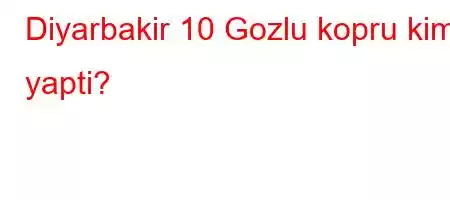 Diyarbakir 10 Gozlu kopru kim yapti