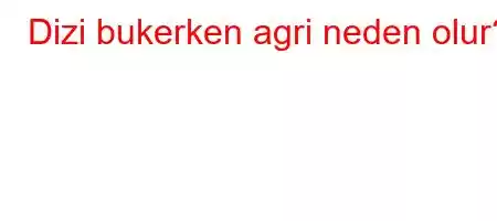 Dizi bukerken agri neden olur