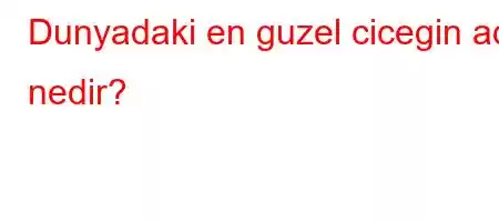 Dunyadaki en guzel cicegin adi nedir?