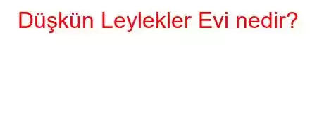 Düşkün Leylekler Evi nedir