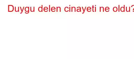 Duygu delen cinayeti ne oldu?