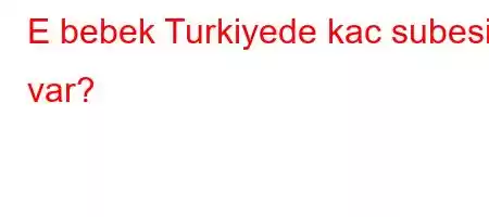 E bebek Turkiyede kac subesi var