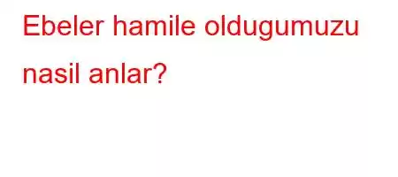 Ebeler hamile oldugumuzu nasil anlar?