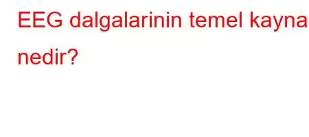 EEG dalgalarinin temel kaynagi nedir?