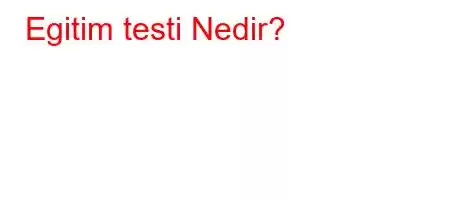 Egitim testi Nedir?