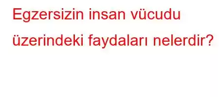 Egzersizin insan vücudu üzerindeki faydaları nelerdir