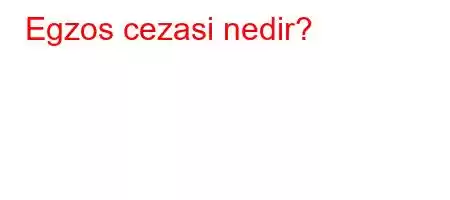 Egzos cezasi nedir?