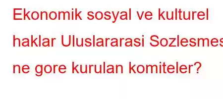 Ekonomik sosyal ve kulturel haklar Uluslararasi Sozlesmesi ne gore kurulan komiteler?