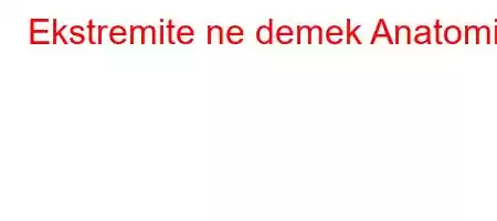 Ekstremite ne demek Anatomi?