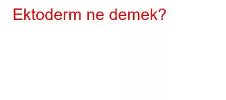 Ektoderm ne demek