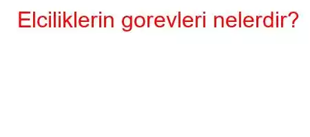 Elciliklerin gorevleri nelerdir?