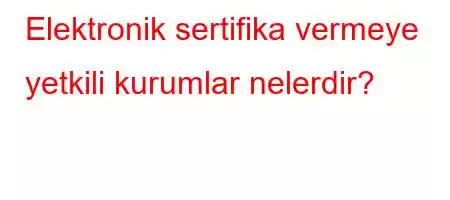 Elektronik sertifika vermeye yetkili kurumlar nelerdir?