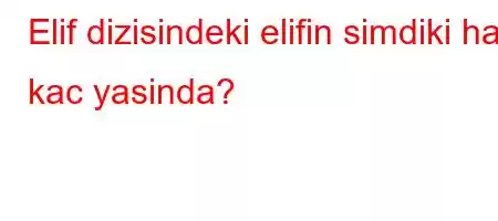 Elif dizisindeki elifin simdiki hali kac yasinda?