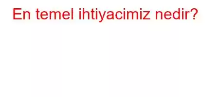 En temel ihtiyacimiz nedir