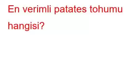 En verimli patates tohumu hangisi?