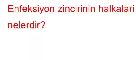 Enfeksiyon zincirinin halkalari nelerdir?