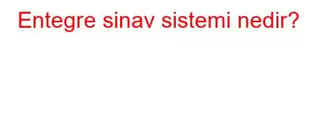 Entegre sinav sistemi nedir?