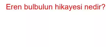 Eren bulbulun hikayesi nedir?