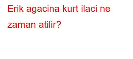 Erik agacina kurt ilaci ne zaman atilir?