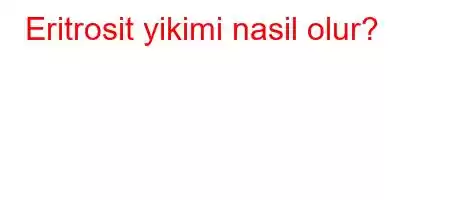 Eritrosit yikimi nasil olur?