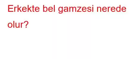 Erkekte bel gamzesi nerede olur?