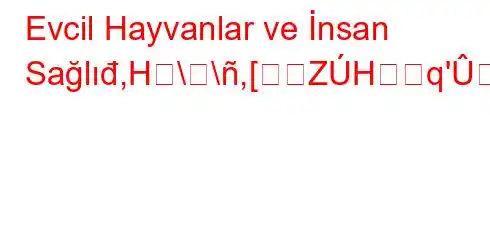 Evcil Hayvanlar ve İnsan Sağlıđ,H\\,[ZHq'[1,