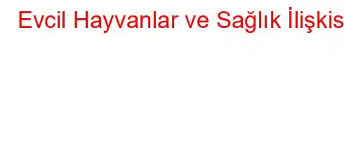 Evcil Hayvanlar ve Sağlık İlişkisi