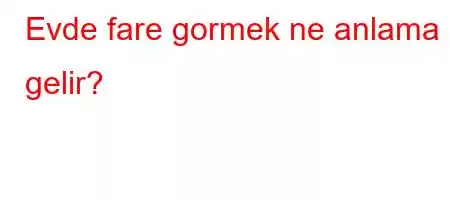 Evde fare gormek ne anlama gelir