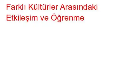 Farklı Kültürler Arasındaki Etkileşim ve Öğrenme