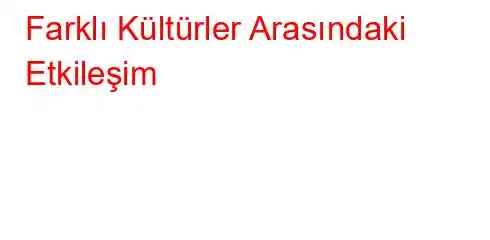 Farklı Kültürler Arasındaki Etkileşim