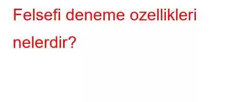 Felsefi deneme ozellikleri nelerdir