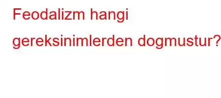 Feodalizm hangi gereksinimlerden dogmustur?