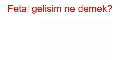 Fetal gelisim ne demek?