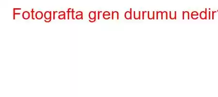 Fotografta gren durumu nedir?