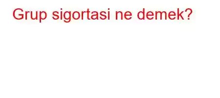 Grup sigortasi ne demek