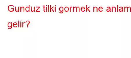 Gunduz tilki gormek ne anlama gelir